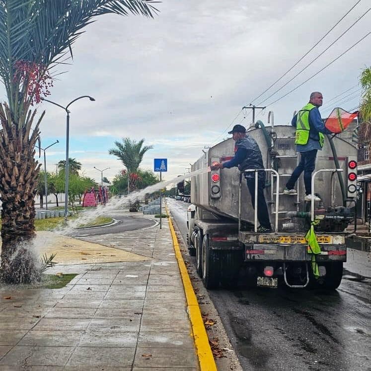 Riegan áreas verdes con agua pluvial