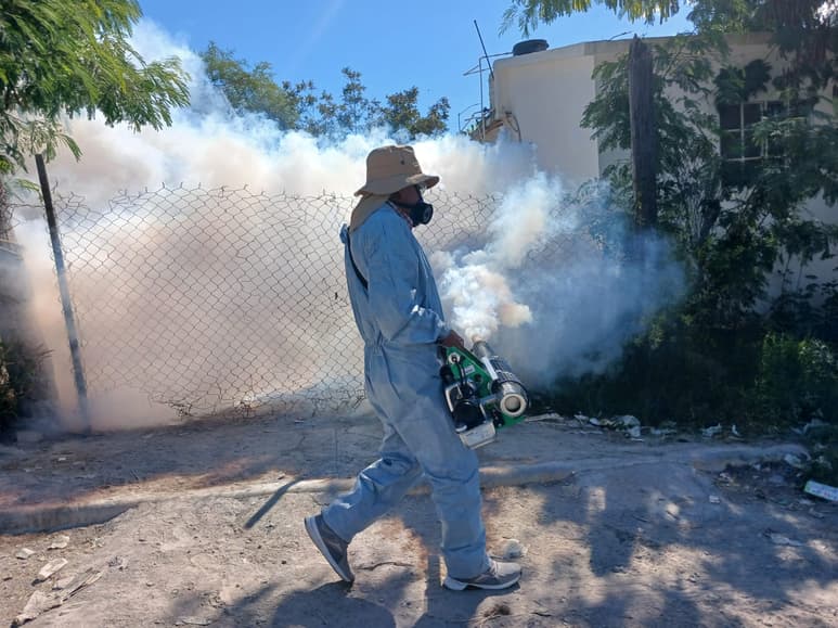 Dengue (EL SIGLO DE TORREÓN)