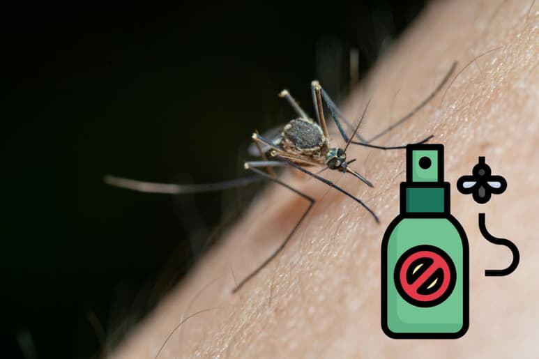 ¿Cómo elegir el mejor repelente para mosquitos según la Secretaria de Salud? | Recomendaciones