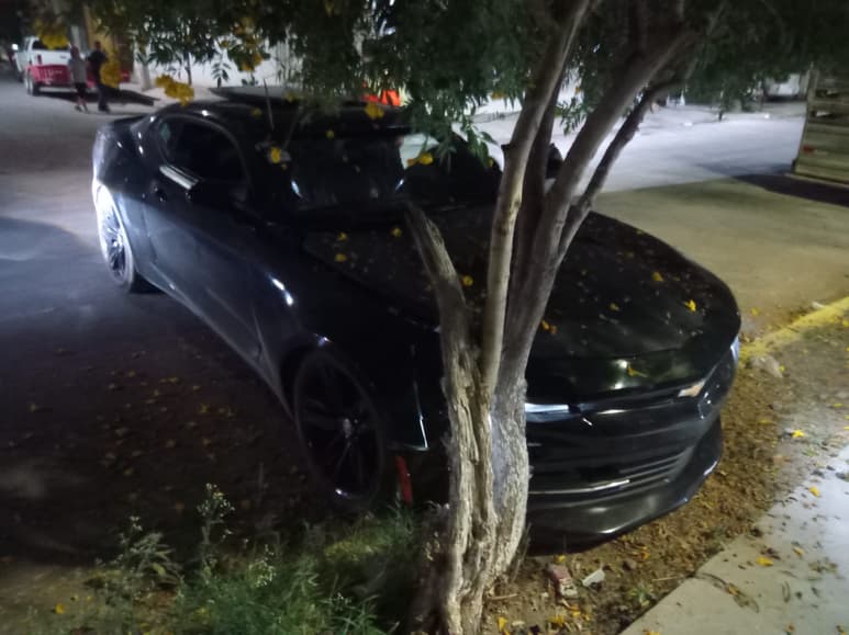 Impacta su Camaro contra un árbol; manejaba en estado de ebriedad