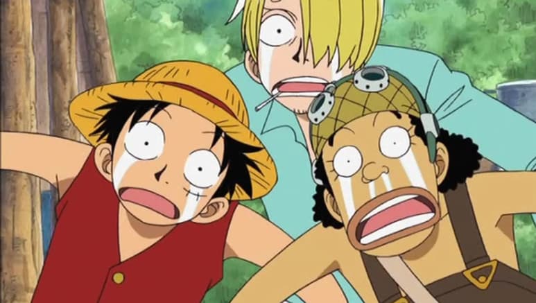 ONE PIECE.