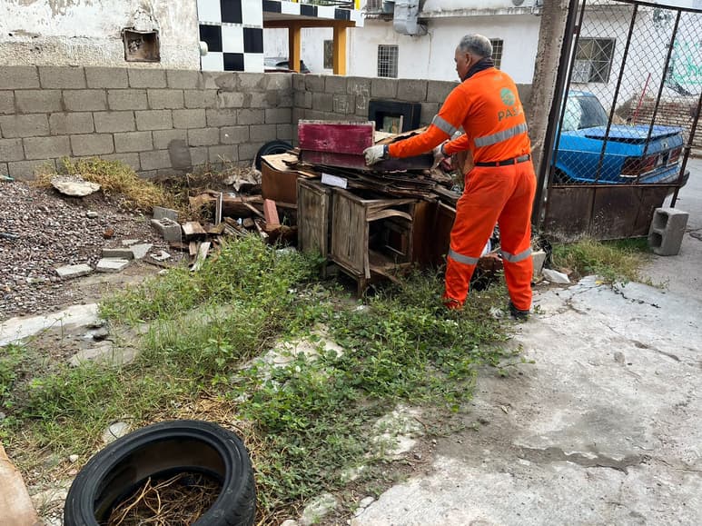 'Descacharre', programa contra el dengue.