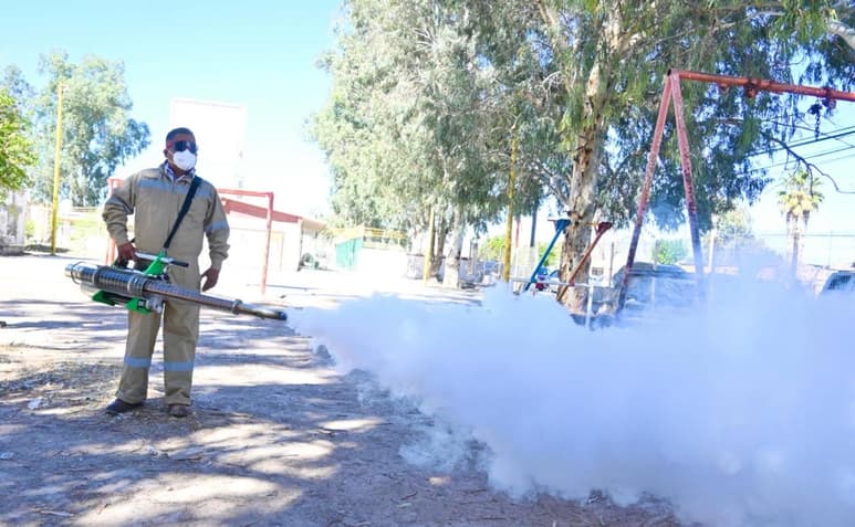 Tras la confirmación de estos primeros casos en 2025, se intensificaron los trabajos de fumigación.
