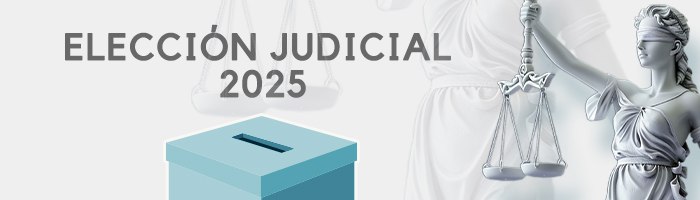 Elecciones Judiciales 2025