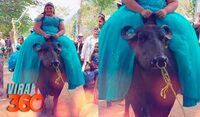 Quinceañera llega a su fiesta montada en un búfalo en Veracruz