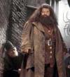 Harry Potter es una de las mejores historias de los últimos años, en cada libro aparecen más y mejores personajes que van cautivando al lector, por lo que los fans ya esperan con ansias 'Harry Potter y la Orden del Fénix', en donde una vez más Harry tendrá que enfrentar a Voldemort.