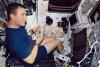 La Dirección Nacional de Aeronáutica y el Espacio (NASA) de EU divulgó 10 horas en cintas de vídeo digital y 92 fotografías tomadas por la tripulación a bordo del transbordador espacial Columbia, que se desintegró el pasado 1 de febrero al reingresar a la Tierra