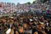 'Ese es el problema. La gente hace un buen encierro y empiezan a tomar riesgos', dijo Zazpe, que ha estado corriendo toros por más de 13 años.