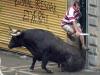 Al grito de '¡Pamplonesas, pamploneses, viva San Fermín!', Sánchez de Muniaín invitó a disfrutar de las fiestas a miles de personas que abarrotaban la céntrica plaza del Ayuntamiento de la ciudad, ataviados con su tradicional vestimenta de blanco y un pañuelo rojo al cuello, mientras gritaban de alborozo y descorchaban botellas de cava, con el que se regaban unos a otros.