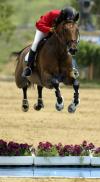 Federico Fernández cabalga su caballo 'Bohemio' en las pruebas clasificatorias en las competecnias ecuestres por equipo.
