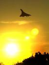 Un viaje de ida y vuelta París-Nueva York en un Concorde de Air France podía comprarse en mayo de 2003 por 8.727 euros (unos 10.300 dólares) y tenía una duración de 3 horas y 55 minutos.