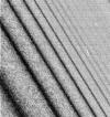 Las fotos muestran 'ondas de densidad', es decir, alteraciones en las partículas presentes en los anillos causadas por la energía de los satélites que pasan cerca.
La sonda Cassini-Huygens realizó con éxito la maniobra más peligrosa de su largo viaje y entró en la órbita de Saturno, el destino final de la misión científica conjunta de las agencias espaciales de Europa y EU.