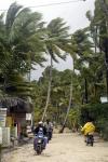 Puerto Rico 

El país enfrenta el embate de la tormenta tropical Jeanne, que podría convertirse en huracán antes de atravesar el territorio nacional, por lo cual la gobernadora Sila María Calderón pidió a los ciudadanos mantener la calma.