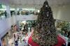 Miles abarrotaron los centros comerciales de Puerto Rico para hacer las últimas compras antes de la Noche Buena y Navidad.
