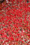 Tras el grito de 'Pamplonesas, Viva San Fermín', repetido en vasco -'Iruindarrak, Gora San Fermín'-, Saralegui prendió el cohete, que tardó unos segundos en explotar, mientras los congregados dieron vivas al patrón de la ciudad, cuya festividad se celebra el 7 de julio.