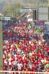Francisco Pérez Gavilán y Alfredo Alemán, así como todo el comité organizador vivieron momentos difíciles, pero finalmente el objetivo se cumplió, al lograr el éxito deseado en la primera carrera 10 K que en la Comarca Lagunera reúne a seis mil participantes.