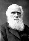 Darwin fue un científico británico, quien sentó las bases de la teoría moderna de la evolución con su concepto del desarrollo de todas las formas de vida a través del proceso lento de la selección natural.