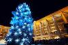 Desde hace medio siglo, cada año los noruegos envían un enorme árbol de Navidad a Inglaterra en agradecimiento por la ayuda recibida durante la Segunda Guerra Mundial. El árbol se instala en la plaza de Trafalgar