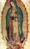 Más de ocho millones de personas, muchas de ellas peregrinos, visitan la Basílica de Nuestra Señora de Guadalupe de la capital mexicana, en conmemoración del día de la aparición de la Patrona de México.

Según la tradición católica, la Virgen se apareció un 12 de diciembre en el monte Tepeyac, donde se encuentra actualmente la basílica, hace 474 años.