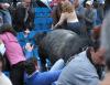 El toro, llamado 'Pajarito', saltó hasta las graderías en un incidente no visto durante los 60 años de existencia de la Plaza México.