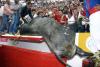El toro, llamado 'Pajarito', saltó hasta las graderías en un incidente no visto durante los 60 años de existencia de la Plaza México.
