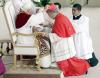 Los nombramientos resaltan que Benedicto XVI ha dado mayor espacio en el Colegio Cardenalicio a los arzobispos que a los miembros de la Curia y que ha potenciado el continente asiático, de donde provienen tres de los purpurados menores de 80 años (el obispo de Hong Kong y los arzobispos de Manila y Seúl).