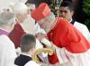 Benedicto XVI subrayó que el Colegio Cardenalicio es una 'especie de Senado' que está llamado a cooperar de manera estrecha con el Papa.