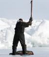 Las imágenes de pescadores apaleando las cabezas de las focas, muchas de ellas de pocas semanas de vida, tomadas por HSUS e IFAW, recorren todo el mundo y generan protestas generalizadas para desmayo del gobierno canadiense.