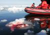 Cazadores de focas canadienses y organizaciones protectoras de los animales se han enzarzado en un peligroso juego en las gélidas aguas del golfo de San Lorenzo, con pesqueros embistiendo lanchas neumáticas y éstas persiguiendo a los cazadores.
