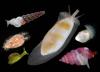 Un grupo de investigadores, entre ellos el español José Templado, ha confirmado el descubrimiento de 62 nuevas especies de moluscos desconchados de formas extrañas y diversos colores en uno de los 'paraísos' de la biodiversidad marina, la isla filipina de Panglao, en el mar de Bohol.