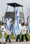 La Marcha de los supervivientes se celebra en Polonia cada año desde 1988 a instancias del Ministerio de Educación de Israel y en conmemoración del Día del Recuerdo de la Víctimas del Exterminio. La mayor de las marchas realizadas hasta ahora tuvo lugar en 2005, en el 60 Aniversario de la liberación de Auschwitz.