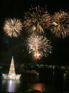 El árbol de navidad flotador más grande del mundo fue inaugurado en la laguna Rodrigo de Freitas, zona sur de río de Janeiro (Brasil). 
El árbol, con una altura de 82 metros
y un peso de 500 toneladas, fue iluminado con 2.8 millones de micro lámparas.