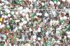Con globos blancos los aficionados llaman a la no violencia durante el partido. El Estadio Corona está a reventar.