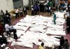Expertos forenses inspeccionan los cadáveres de las víctimas del accidente aéreo producido en Tailandia.