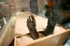 La momia vivió su minuto de gloria durante su traslado, retransmitido por televisión, a una urna de plexiglás en donde estará protegida del polvo, la humedad y el calor, en una ceremonia exclusiva para los medios de comunicación.