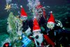 Miembros de un club de submarinismo posan juntos bajo el agua con un árbol de Navidad en las aguas del río Crn Drim, cerca del lago Ohrid, a unos 180 km del suroeste de la capital de Macedonia, Skopje.