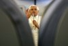 Benedicto XVI dijo que su peregrinación es un encuentro con “un gran pueblo y una gran Iglesia”, y habló sobre el modelo estadounidense de valores religiosos dentro del sistema de separación de Iglesia y Estado.