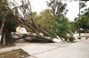 Los departamentos de Bomberos auxiliados por elementos preventivos de las ciudades afectadas levantan árboles, postes y anuncios que se cayeron luego de las rachas de viento que alcanzaron los 80 kilómetros por hora.
