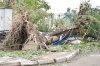 Miles de árboles tirados por los fuertes vientos, que alcanzaron una velocidad superior a los 190 kilómetros por hora, entorpecen el paso por la calles, sobre las que abundan los cascotes de miles de tejados arrancados por el ciclón.