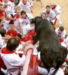Dos toros se separaron de la manada durante el encierro, sin que los animales cornearan de gravedad a persona alguna.