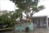 Los habitantes de Matamoros sufren los estragos del paso del huracán.
