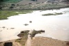Todo un acontecimiento se convirtió la avenida de agua en el río Nazas para los ciudadanos de la Comarca Lagunera.