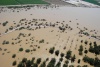 180 viviendas del ejido San Francisco de Arriba están inundadas.