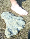 En Diciembre de 2007 el El presentador de la televisión americana y explorador Josh Gates, encontró una huella fosilizada de un supuesto Yeti.