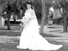 Srita. Georgina Salazar Ornelas el día de su boda con el Sr. Andrés Omar Ávila R. 

Estudio Carlos Maqueda