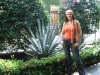 Gomezpalatina Lourdes Hernandez en Tequila Jalisco, Mexico donde radica desde hace 24 meses.