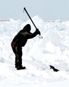 La práctica de matanza masiva de focas fue promovida por las autoridades soviéticas que concedían generosos subsidios a los que aceptaban residir en esta inhóspita región.