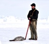 Cada año, a comienzos de la primavera, los cazadores acuden a regiones del norte del país norteamericano para matar a golpes a miles de crías de focas.