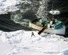 La caza comercial de focas en Canadá,  es considerada por organizaciones de derechos animales como 'inhumana, cruel e innecesaria'.