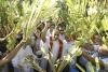 Cientos de cristianos portando ramas de palma entretejida marcaron el Domingo de Ramos en Jerusalén, en celebración de la entrada triunfal de Jesucristo a la ciudad santa hace dos milenios.